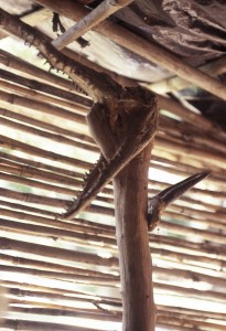 Mozambique.