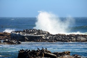 Kaap de Goede Hoop
