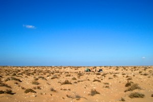 Wildkamperen in de Sahara