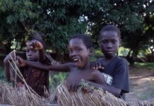 Wandelen in een akker of mijnenveld? Mozambique Cobue