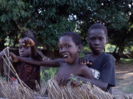 Wandelen in een akker of mijnenveld? Mozambique Cobue