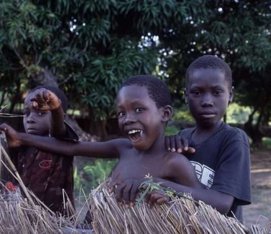 Wandelen in een akker of mijnenveld? Mozambique Cobue