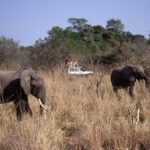 South Luangwa Zambia
