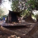South Luangwa Zambia