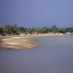 South Luangwa Zambia