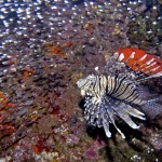 Thailand03