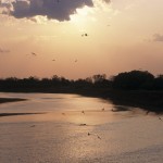 Zambia15,11