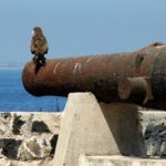 Ile de Goree Dakar Senegal