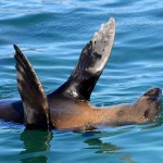 20141026_Kaapstad 015