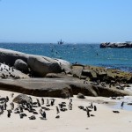 20141026_Kaapstad 044