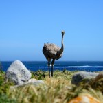 20141026_Kaapstad 064