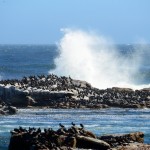 20141026_Kaapstad 070
