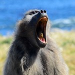 20141026_Kaapstad 072