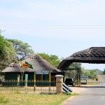 20141111_Bulawayo079
