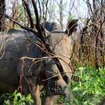 20141111_Bulawayo101