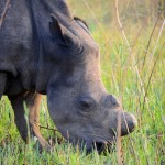 20141111_Bulawayo124