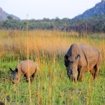 20141111_Bulawayo126