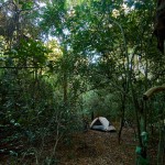Kamperen in Guinee-Bissau