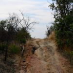 Nationaal park Matobo Zimbabwe