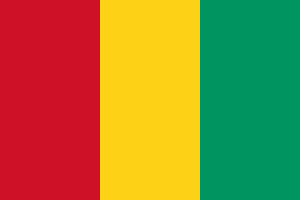 Vlag Guinee