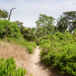 Abuko Nature Reserve