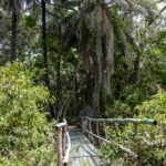 Abuko Nature Reserve