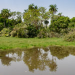 Abuko Nature Reserve