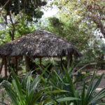 Botanische tuin Bakau Gambia