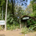 Botanische tuin in Bakau