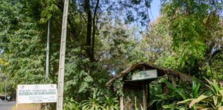 Botanische tuin in Bakau Botanische tuin in Bakau