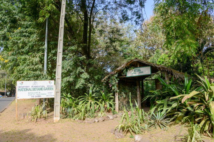 Botanische tuin in Bakau