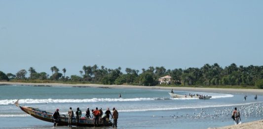 Gunjur is het belangrijkste vissersdorp van Gambia Vissers Gunjur Gambia