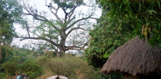 Visum Sierra Leone Kamperen in Sierra Leone