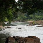 Tiwai Island Sierra Leone
