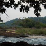 Tiwai Island ligt in de Moa rivier