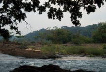 Tiwai Island in Sierra Leone Tiwai Island ligt in de Moa rivier