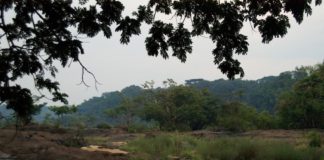 Tiwai Island in Sierra Leone Tiwai Island ligt in de Moa rivier