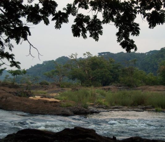 Tiwai Island in Sierra Leone Tiwai Island ligt in de Moa rivier