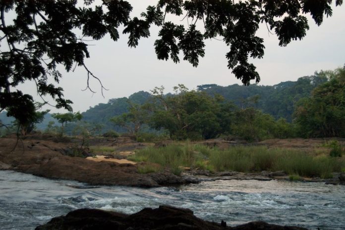 Tiwai Island ligt in de Moa rivier