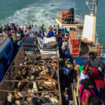Barra banjul veerpont Gambia