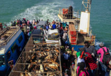 Over de Gambia rivier van Banjul naar Barra Barra banjul veerpont Gambia