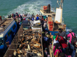 Over de Gambia rivier van Banjul naar Barra Barra banjul veerpont Gambia