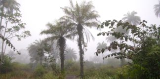 Fietsen door het Zuid-Oosten van Guinee-Bissau Boé Ché Ché Guinee Bissau