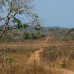 Boé Ché Ché Guinee Bissau