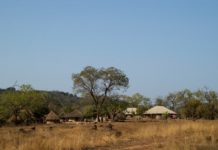 Zeldzame aardbeving schokt Guinee Ché Ché Boé Guinee-Bissau