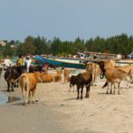 Cap Skirring Casamance Senegal