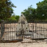 Ile de Carabane Casamance Senegal