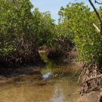 Ile de Carabane Casamance Senegal