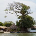 Ile de Carabane Casamance Senegal