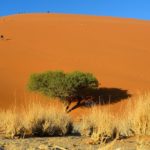 Dune 45 Namibië